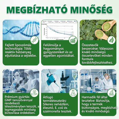 🚀DOTALE Metabolic Nano Microneedle Patch (Napi mindössze egyszeri használat, látható változások 7 nap alatt)